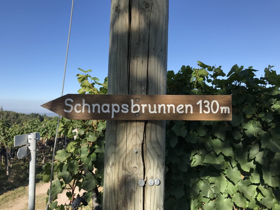 Feuerwehr Obergriesheim, Schnapsbrunnentour 2019, Bild 1